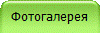 Фотогалерея